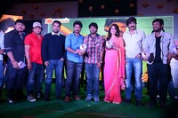 Patas Movie Audio Release